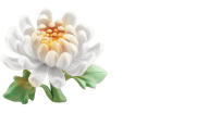 헌화꽃