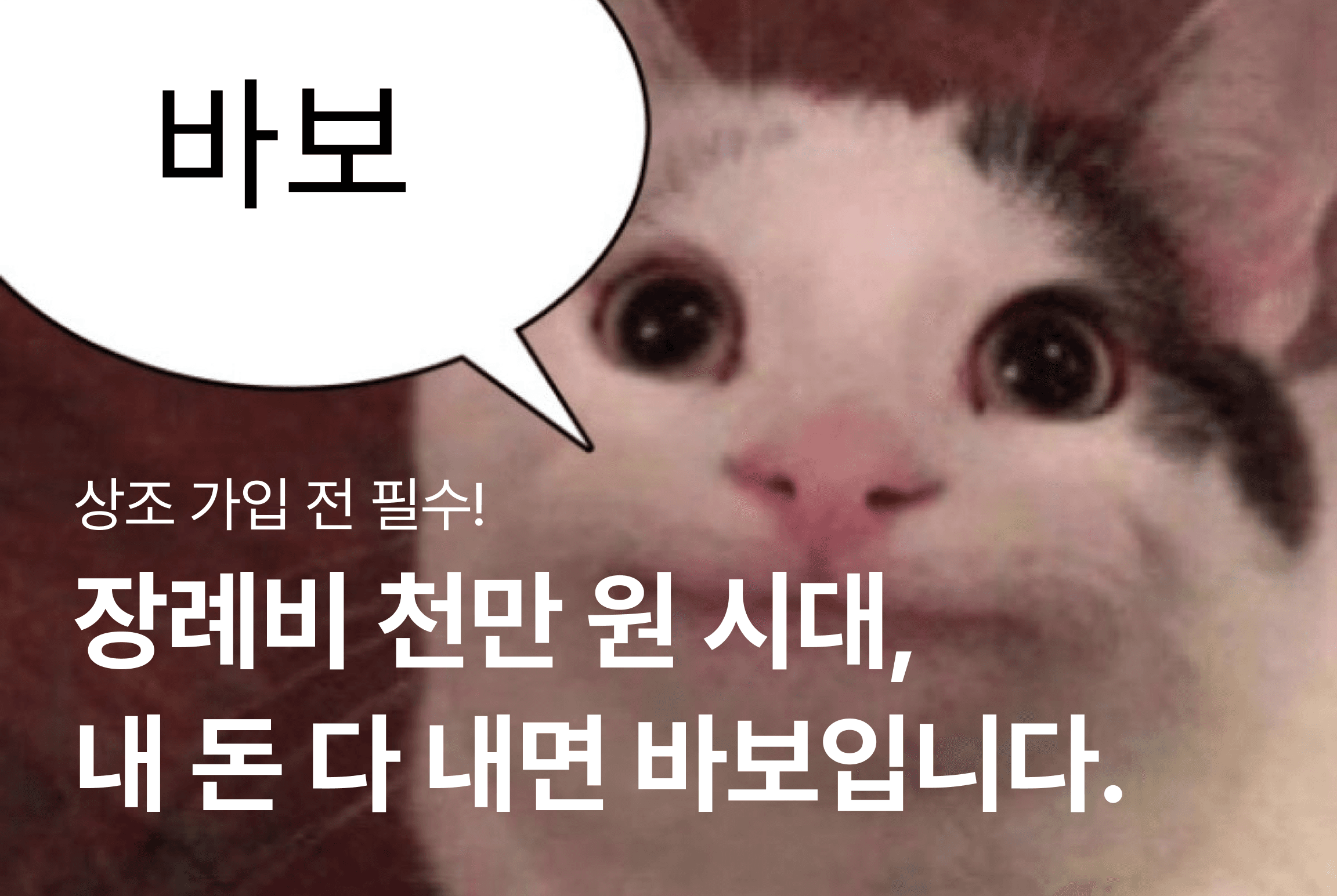 장례비 천만 원 시대, 내 돈 다 내면 바보입니다.