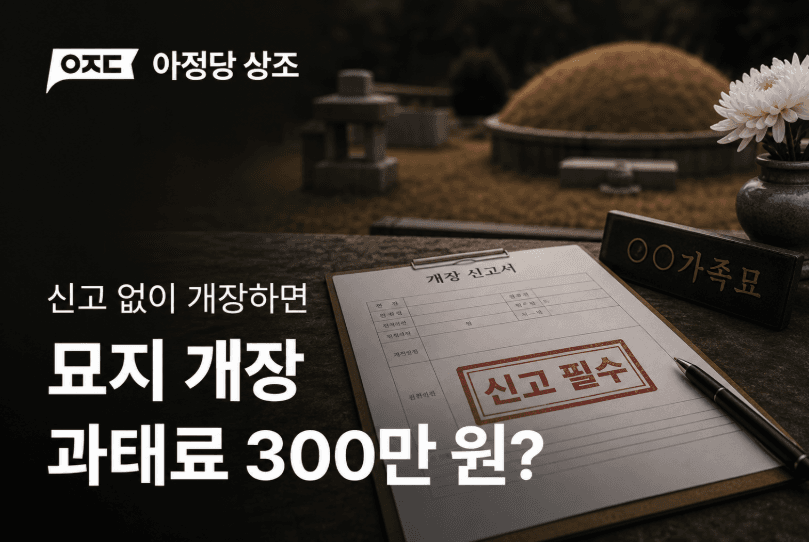 묘지 개장 절차 총정리, 신고 방법·비용·과태료까지 한 번에