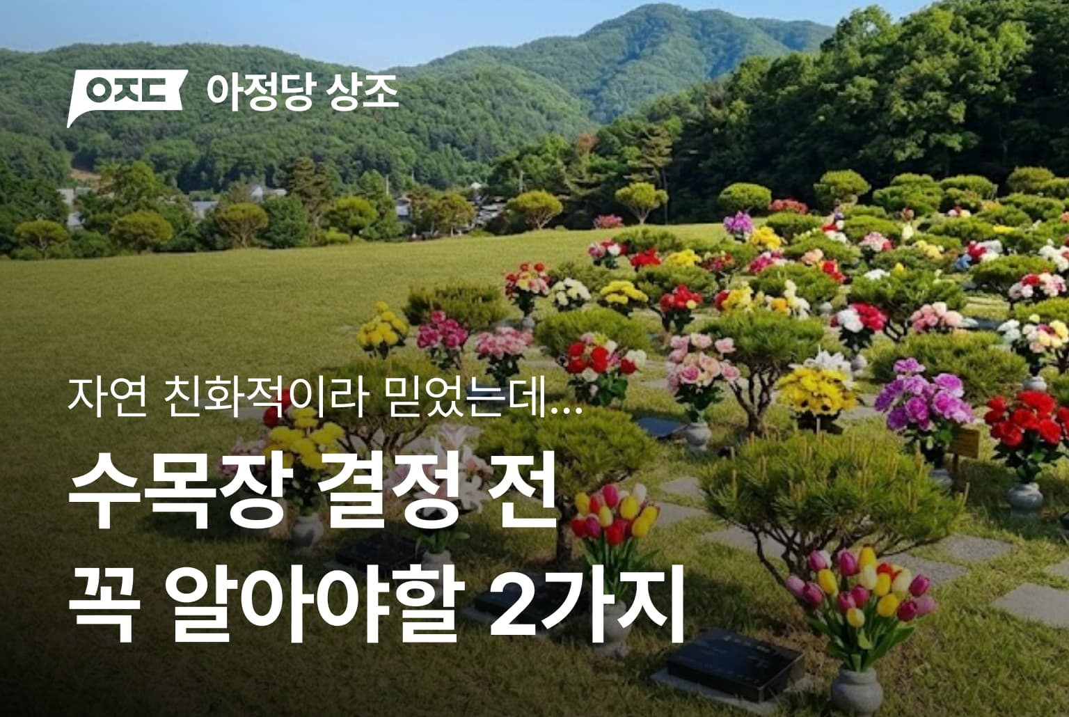 자연 친화적이라 믿었는데… 수목장 결정 전 꼭 알아야 할 2가지