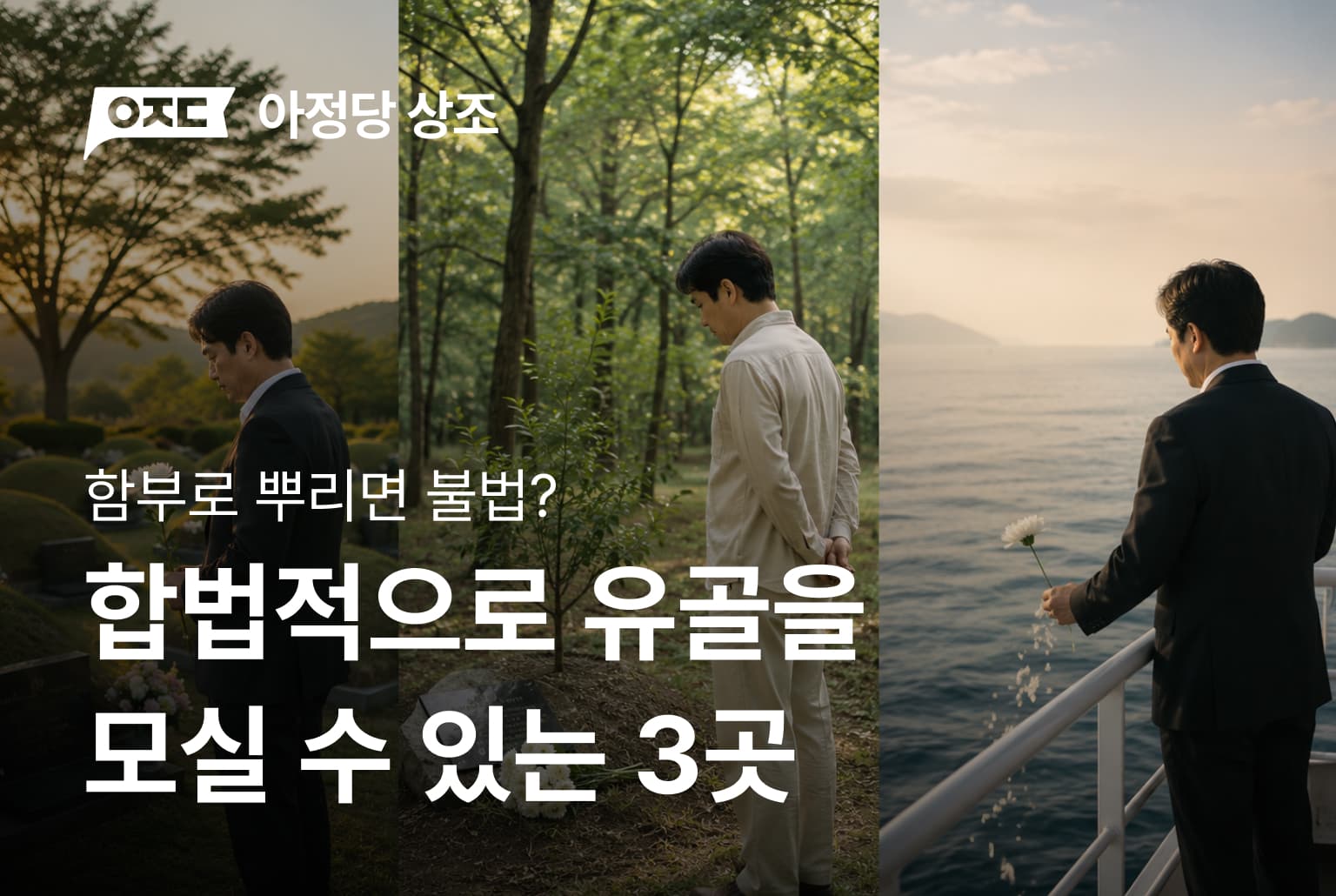 유골 뿌리는 곳 TOP3