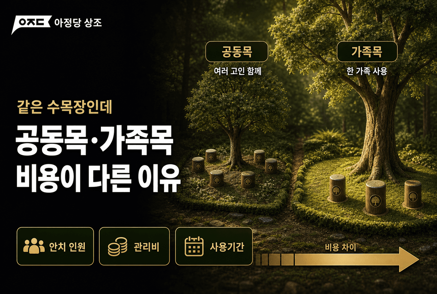 수목장 뜻과 가격 총정리, 절차·유골함·나무 선택 방법
