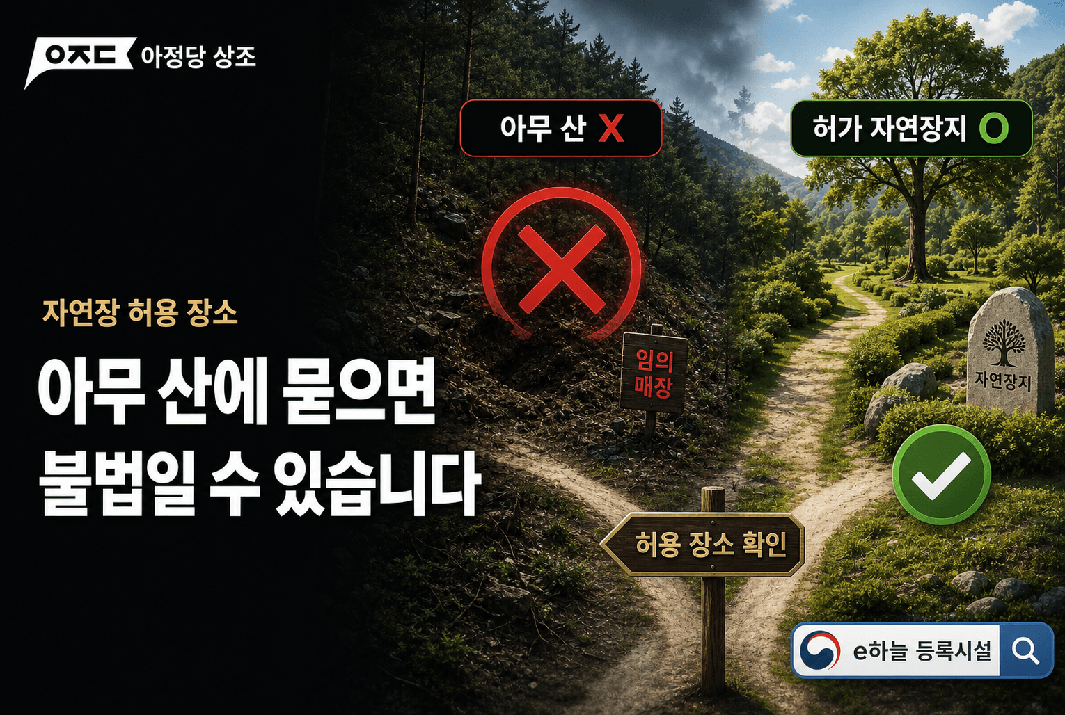 자연장 비용 얼마일까? 종류별 가격과 허가·방법 한눈에 정리